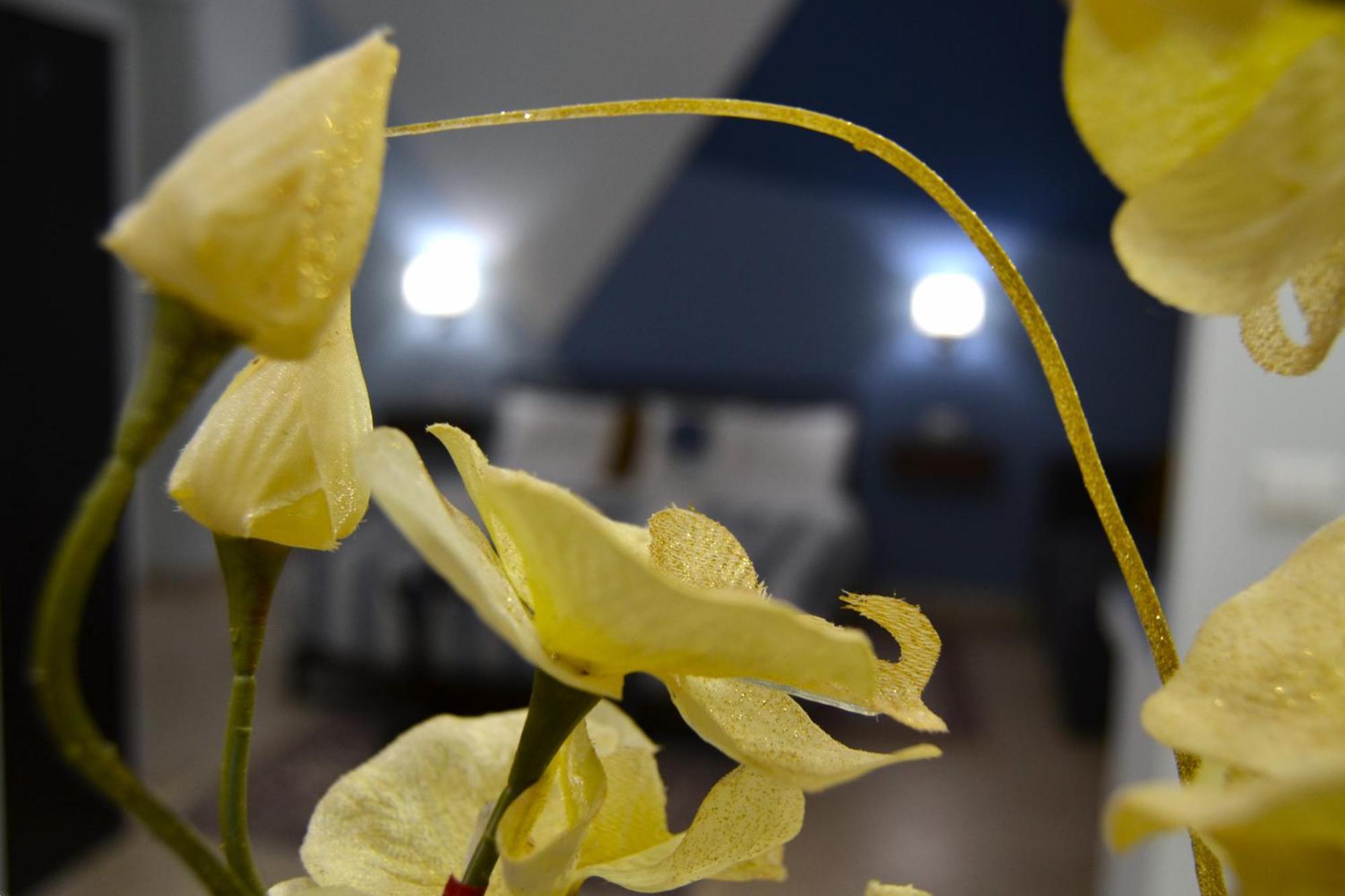 Appartamento Casa Grazia Reggio Calabria Esterno foto